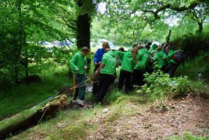 Team building - Log tug